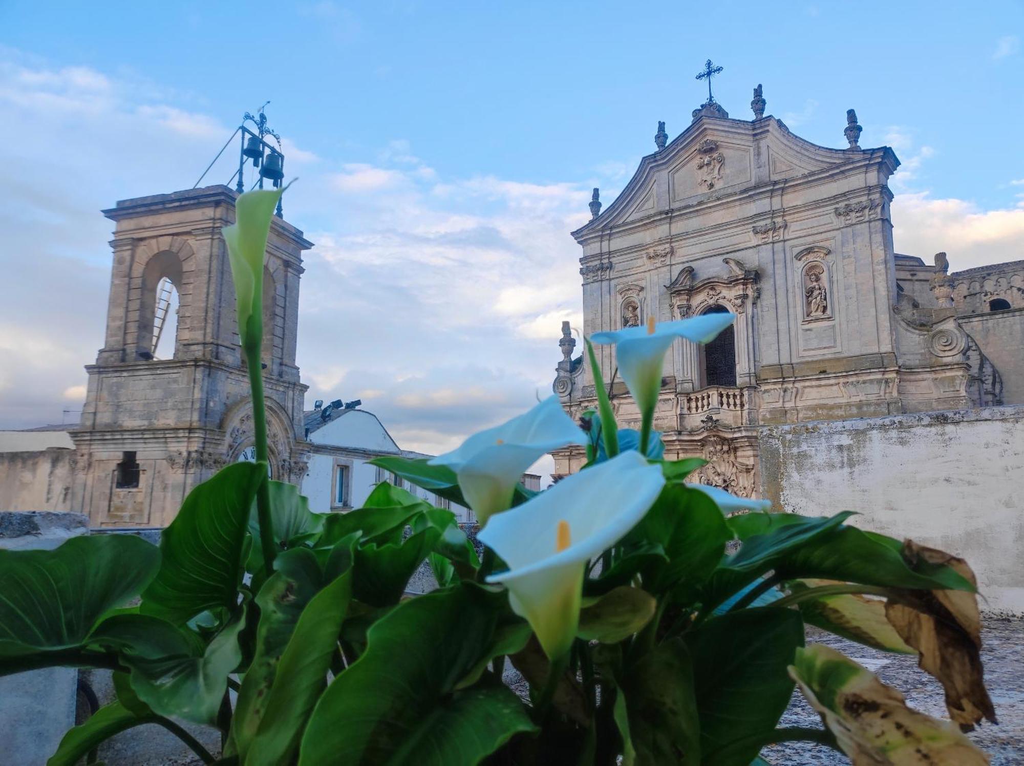 Il Plebiscito Luxury Loft Fronte Basilica